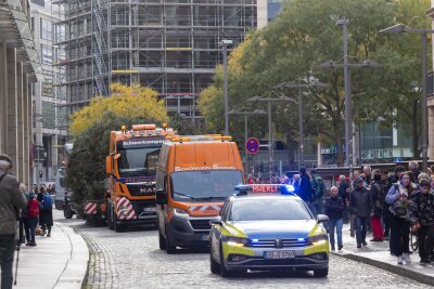 100 Jahre alte Nordmanntanne ziert Dresdner Striezelmarkt - Da kommt er per Tieflader: Am Sonnabend wurde der Tannenbaum für den diesjährigen Dresdner Striezelmarkt angeliefert.