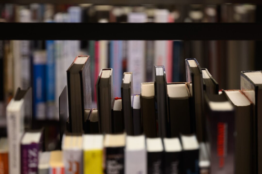116 Bibliotheken wollen im Buchsommer Lesefreude wecken - Bücher stehen in einer Bibliothek.