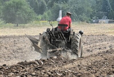 190 Teilnehmer beim Bulldog-und Nutzfahrzeug-Treffen in Niederwürschnitz - Das Schaupflügen mit historischer Technik gehörte zu den Höhepunkten - im Bild William Günther aus Zwönitz. Foto: Ramona Schwabe