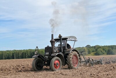 190 Teilnehmer beim Bulldog-und Nutzfahrzeug-Treffen in Niederwürschnitz - Das Schaupflügen mit historischer Technik gehörte zu den Höhepunkten. Foto: Ramona Schwabe