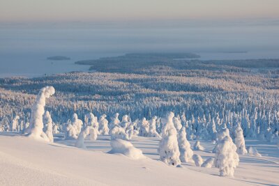 20 Stunden dunkel: Warum der Winter im Norden dennoch lohnt - Blick vom Gipfel des Riisitunturi auf den Kitkajärvi-See: In den wenigen hellen Stunden entfaltet sich ein unvergleichliches Winterpanorama.