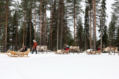 20 Stunden dunkel: Warum der Winter im Norden dennoch lohnt - Rentierschlittenfahrt durch den Winterwald: So ungefähr fühlt sich also der Weihnachtsmann.