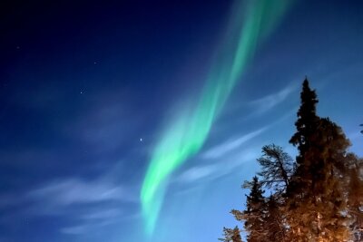 20 Stunden dunkel: Warum der Winter im Norden dennoch lohnt - Nordlichter am Nachthimmel: Im Winter sind die Chancen in den Polarregionen groß, das Naturspektakel selbst zu erleben - vor allem im Februar und März.