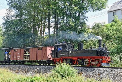 22. Wildbachfest: Schönste Ziege des Erzgebirges heißt Fränzi - Ziegentreffen Steinbach 2024, die Hirten und Ziegen reisen mit der Pressnitztalbahn an. Foto: Christof Heyden