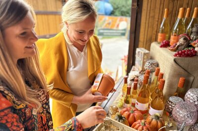 50.000 Kürbisse als Herbsttraum eröffnet: Oskarshausen wird zu Kürbishausen - Nach dem Besuch lassen sich an den herbstlich geschmückten Markthütten Geschenkideen, Herbstdeko und Dino-Accessoires entdecken.