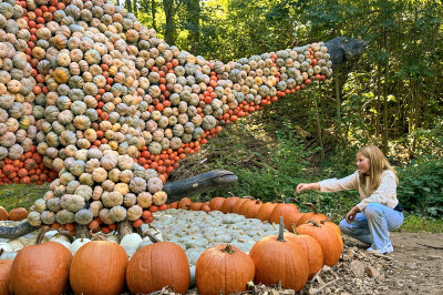 50.000 Kürbisse als Herbsttraum eröffnet: Oskarshausen wird zu Kürbishausen - Dafür wurden unter anderem zehn verschiedene XXL-Dinosaurier aus tausenden farbenfrohen Zierkürbissen in liebevoller Handarbeit zusammengesetzt.