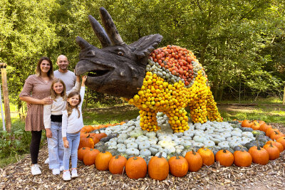 50.000 Kürbisse als Herbsttraum eröffnet: Oskarshausen wird zu Kürbishausen - Dafür wurden unter anderem zehn verschiedene XXL-Dinosaurier aus tausenden farbenfrohen Zierkürbissen in liebevoller Handarbeit zusammengesetzt.