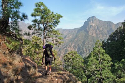 6 Gründe, warum Wandern gesund und glücklich macht - Wandern kann das Risiko für einen Herzinfarkt oder Schlaganfall senken.