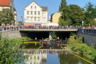 7.500 Enten schwimmen in der Chemnitz für den guten Zweck um die Wette - Die Einnahmen gehen an verschiedene Chemnitzer Vereine, die sich für Kinder- und Jugendarbeit in der Stadt einsetzen. 