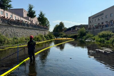 7.500 Enten schwimmen in der Chemnitz für den guten Zweck um die Wette - Nach über einer Stunde kam die erste Ente ins Ziel. So langsam waren die Enten selten. Das lag auch an den sommerlichen Temperaturen und der geringen Fließkraft der Chemnitz an diesem Tag. 