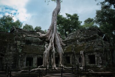 7 bekannte Drehorte, die man im Urlaub besuchen kann - Kapok-Baumwurzeln überwuchern die Tempelanlage Ta Prohm: Angelina Jolie war hier als Actionheldin Lara Croft unterwegs.