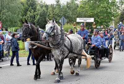 700 Jahre Helbigsdorf: Höhepunkt der Festwoche war stimmungsvoller Umzug - Die Oldtimer-Feuerwehr kommt herbei geeilt. Foto: Christof Heyden