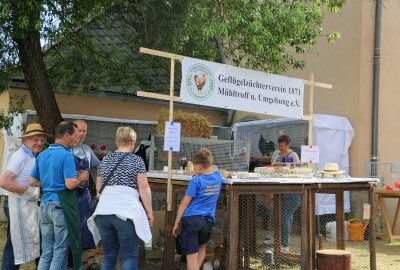 750-Jahrfeier: Schloss Mühltroff erwacht für einen Tag zum Leben - Treff im Kospoth-Saal im Schloss: Sämtliche Vereine in Mühltroff - ob Fasching-, Bürgerhaus-, Sport-, Heimat- und Wanderverein - beteiligen sich an der Festwoche zum Jubiläum.  Foto: Simone Zeh