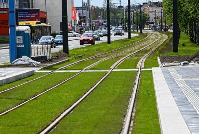 Ab Mittwoch: Erneute Streckensperrung der Straßenbahntrasse Schönau - Planmäßige Restarbeiten an der Straßenbahntrasse Schönau voraussichtlich bis 27. September. Foto: Andreas Seidel