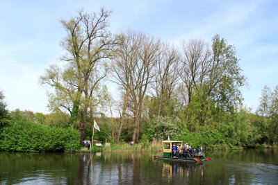 Äpfel statt Tulpen: Im Obstgarten der Niederlande - Radwanderer und andere bringt nahe des Landgutes Marienwaerdt eine Fähre mit E-Motor über die Linge.