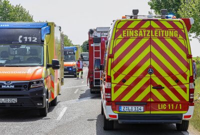 Äste und Grünschnitt entzünden sich: Mann bei Brand in Lichtenstein wird schwer verletzt - An der Hartensteiner Straße kam es zu einem Brand. Foto: Andreas Kretschel