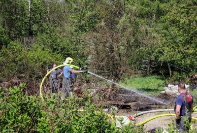 Äste und Grünschnitt entzünden sich: Mann bei Brand in Lichtenstein wird schwer verletzt - An der Hartensteiner Straße kam es zu einem Brand. Foto: Andreas Kretschel