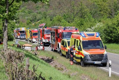 Äste und Grünschnitt entzünden sich: Mann bei Brand in Lichtenstein wird schwer verletzt - An der Hartensteiner Straße kam es zu einem Brand. Foto: Andreas Kretschel