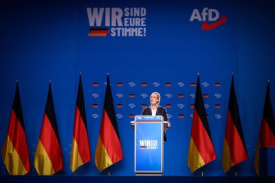 AfD-Führungsduo bleibt - Weidel will "Hippie-Wahn" beenden - Alice Weidel spricht beim Bundesparteitag der AfD in der Grugahalle in Essen.