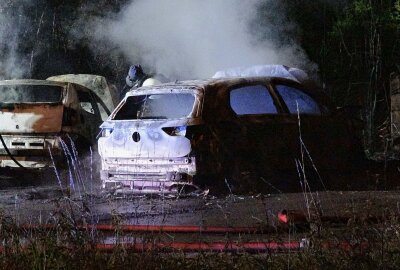 Aktion gegen Immobilienfirma? Drei Autos in Flammen und eine Person verletzt - Vor Ort bestätige sich das Feuer, welches dabei schon drei PKW in Mitleidenschaft gezogen hatte, darunter eines einer Immobilienfirma. 