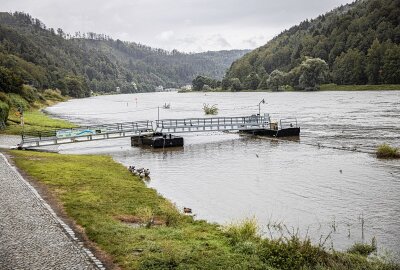 Alarmstufe 4 erwartet: Experten prognostizieren deutliche Pegelsteigerung der Elbe - Seit heute Vormittag ist der Pegelstand weiter angestiegen. Foto: Marko Förster