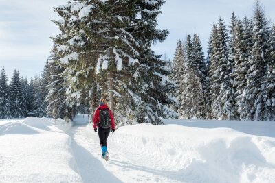 Alpen: Neue Winterwanderwege abseits der Pisten - Auf dem Seefelder Hochplateau geht es für Wanderer auf fünf Etappen durch die verschneite Tiroler Landschaft.