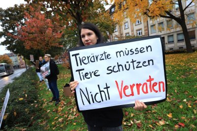 Angeklagte Tierärztin: Warnung vor Kontrollen gang und gäbe - Tierschützer haben den Skandal aufgedeckt.