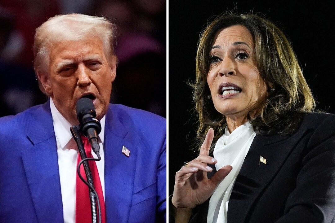 Auf diese Bundesstaaten muss man bei der US-Wahl achten - Hoffen auf Erfolg in den "Swing States": Donald Trump und Kamala Harris.