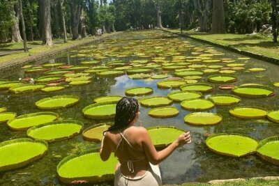 Der Botanische Garten ist eines der beliebtesten Ausflugsziele auf der Insel. Foto: Instagram