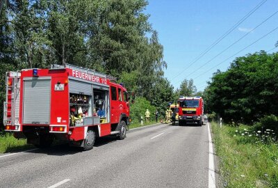 Auto kommt von Fahrbahn ab und kollidiert mit Baum: Verletzte - Die Fahrerin konnte sich selbstständig aus dem Fahrzeug befreien und wurde dann Rettungsdienstlich versorgt und in ein Krankenhaus gebracht. Foto: Xcitepress