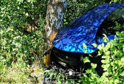 Auto kommt von Fahrbahn ab und kollidiert mit Baum: Verletzte - Die Fahrerin konnte sich selbstständig aus dem Fahrzeug befreien und wurde dann Rettungsdienstlich versorgt und in ein Krankenhaus gebracht. Foto: Xcitepress