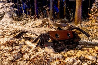 Auto prallt gegen Baum: 18-Jähriger stirbt bei Glätteunfall - Am Auto entstand Totalschaden.