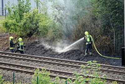 Bahnstrecken gesperrt: Deshalb fielen am Sonntag in der Region mehrere Züge aus - Ein Bahngleisbrand verursacht mehrere Zugausfälle. Foto: Jan Härtel