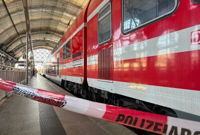 Bahnunfall am Hauptbahnhof Dresden: Ersthelferin leistet wichtige Hilfe - Am Montagabend kam es am Dresdner Hauptbahnhof zu einem Bahnunfall. Foto: Roland Halkasch