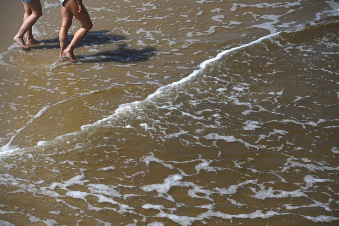 Bakterien im Wasser: Wie gefährlich sind Vibrionen? - In der Ostsee wurden auch in diesem Sommer bereits Vibrionen nachgewiesen.