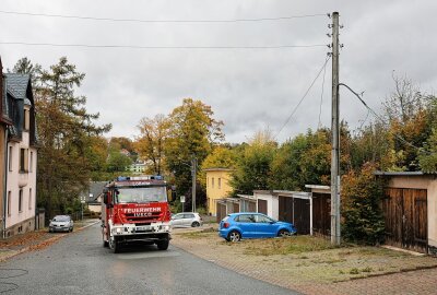 Baum fällt auf Garage: Person verletzt und Stromleitungen beschädigt - Ein entwurzelter Baum liegt auf einer Doppelgarage in Lößnitz, nachdem er durch den Sturm gefallen ist und Stromleitungen mitgerissen hat. Foto: Niko Mutschmann