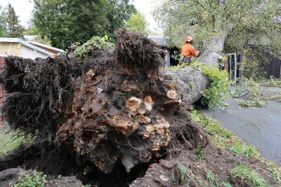 Baum fällt auf Garage: Person verletzt und Stromleitungen beschädigt - Feuerwehr und Techniker koordinieren die Arbeit. Foto: Niko Mutschmann