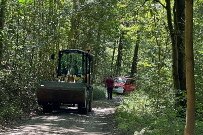 Baumkrone fällt auf beliebten Rad-und Wanderweg in Aue - Feuerwehr Aue und Bad Schlema im Einsatz: Abgebrochene Baumkrone sicher entfernt. Foto: Daniel Unger