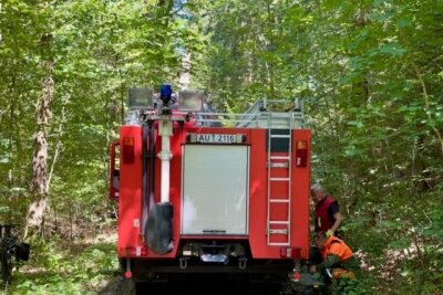 Baumkrone fällt auf beliebten Rad-und Wanderweg in Aue - Feuerwehr Aue und Bad Schlema im Einsatz: Abgebrochene Baumkrone sicher entfernt. Foto: Daniel Unger