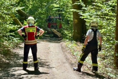 Baumkrone fällt auf beliebten Rad-und Wanderweg in Aue - Feuerwehr Aue und Bad Schlema im Einsatz: Abgebrochene Baumkrone sicher entfernt. Foto: Daniel Unger