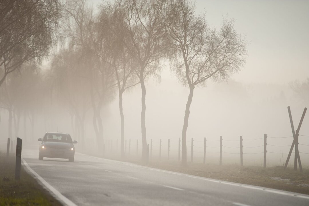 Bei Nebel nicht auf die Lichtautomatik verlassen - Verschleiert der Nebel auch tagsüber die Sicht? Dann muss das Abblendlicht eingeschaltet sein. 