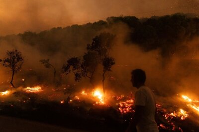 Bericht: 2023 eines der schlimmsten Waldbrandjahre in Europa - Der Waldbrand in der Nähe der griechischen Stadt Alexandroupolis im Jahr 2023 war der größte bisher registrierte Brand in Europa. (Archivbild)