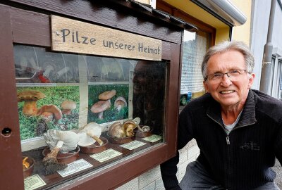 Bisher in den Wäldern kaum etwas zu finden: Gibt es dieses Jahr in Sachsen keine Pilze? - Werner Stolpe an seinem Pilz-Schaukasten. Foto: Markus Pfeifer