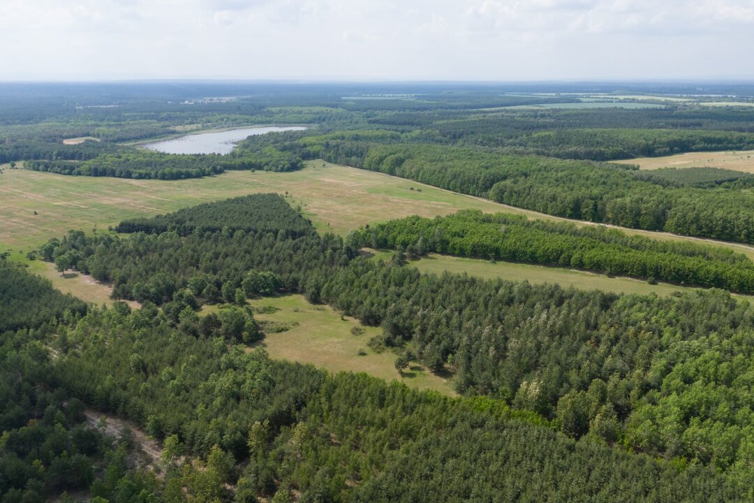 Bisher weniger Waldbrände als 2023 – Hauptursache Mensch - Kein Waldbrand war nach Ministeriumsangaben größer als ein Hektar. (Archivbild)