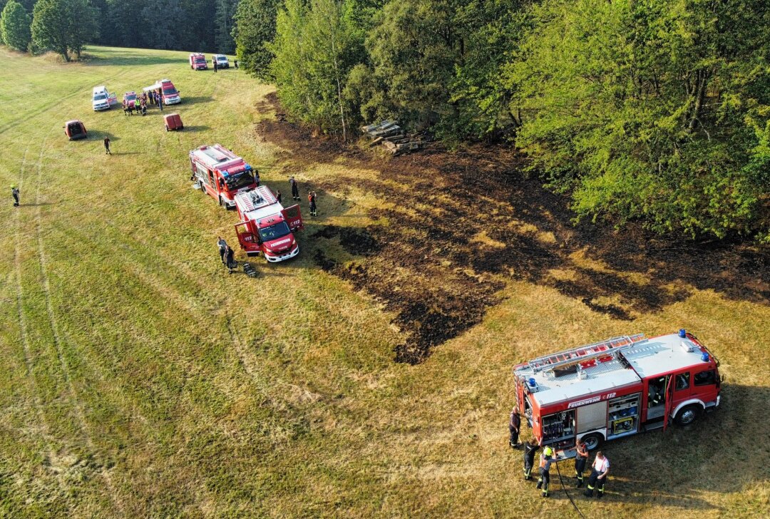 Blitzeinschlag löst Flächenbrand aus: Motorradfahrer hilft bei der Rettung - Niko Mutschmann