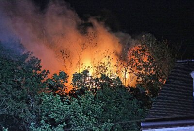 Brand in Loschwitz: Feuerwehr kämpfte die ganze Nacht - Als die Berufsfeuerwehr (Wachen Striesen und Albertstadt) und die Stadtteilfeuerwehr Bühlau eintrafen, stand das gesamte Haus bereits in Flammen. Foto: Roland Halkasch