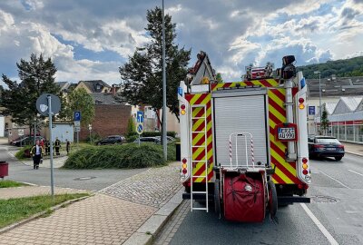 Brennender Mülleimer nahe Auer Postplatz: Feuerwehr im Einsatz - Durch die Hitze griff das Feuer auch auf die angrenzende Hecke über. Ein Anwohner konnte die Flammen mit einem Feuerlöscher eindämmen. Foto: Daniel Unger