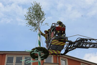 Bürgerfest in Limbach-Oberfrohna: Buntes Programm in der Innenstadt - Das Aufsetzen der Maibaumkrone zieht jedes Mal viele Besucher an. Foto: A. Büchner