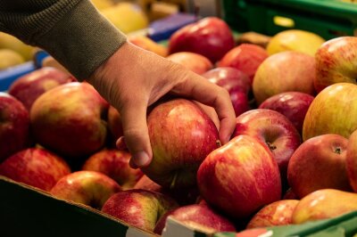 BUND warnt vor toxischen Schneewittchenäpfeln - Geht es nach dem Bundesamt für Verbraucherschutz und Lebensmittelsicherheit, können Äpfel demnächst mit einem gefährlichen Pestizid behandelt werden.