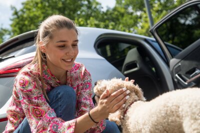 Checkliste: 7 Punkte für einen entspannten Urlaub mit Hund - Der Hund gehört zur Familie.